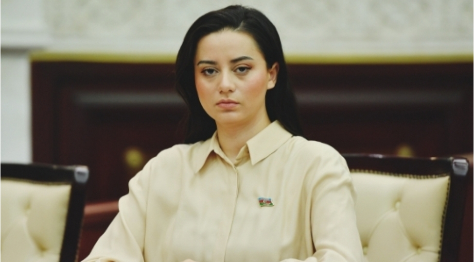 Azərbaycan yaşıl enerjinin çox mühüm ixrac mənbəyinə çevriləcək