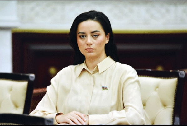 Bədxah dövlət qazdığı çuxura həmişə özü düşür