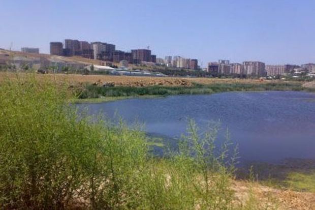 Abşeron göllərində su nümunələrinin kimyəvi və mikrobioloji təhlil nəticələri açıqlanıb