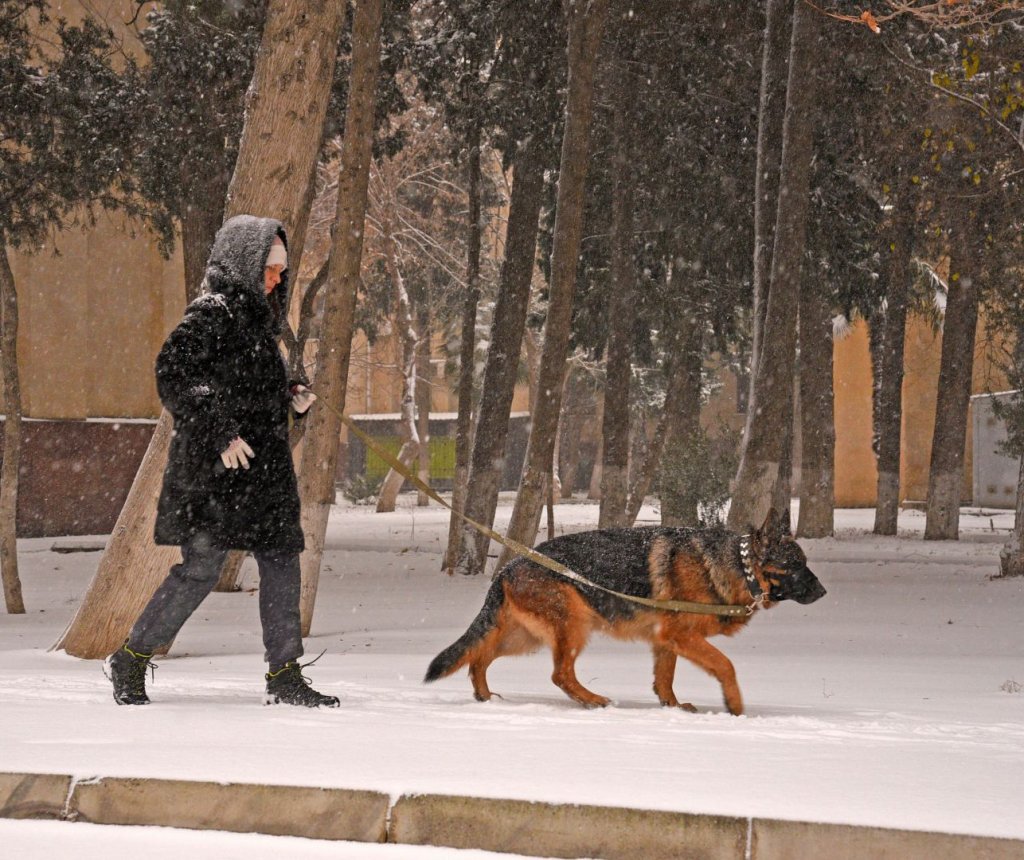 Sabah qar yağacaq