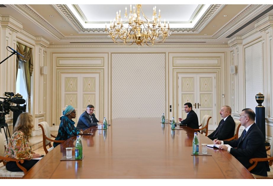 Prezident İlham Əliyev BMT-nin İİV üzrə Birgə Proqramının icraçı direktorunu qəbul edib