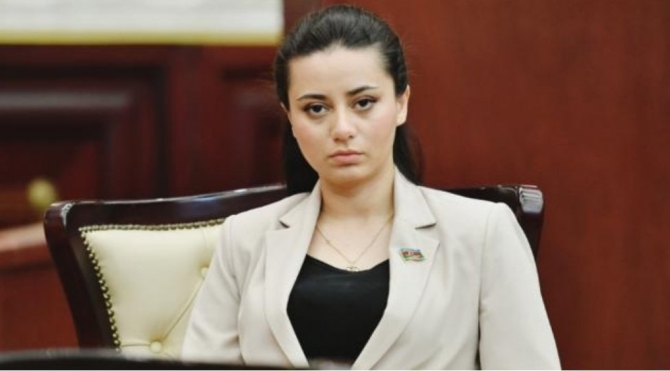 Azərbaycan naminə