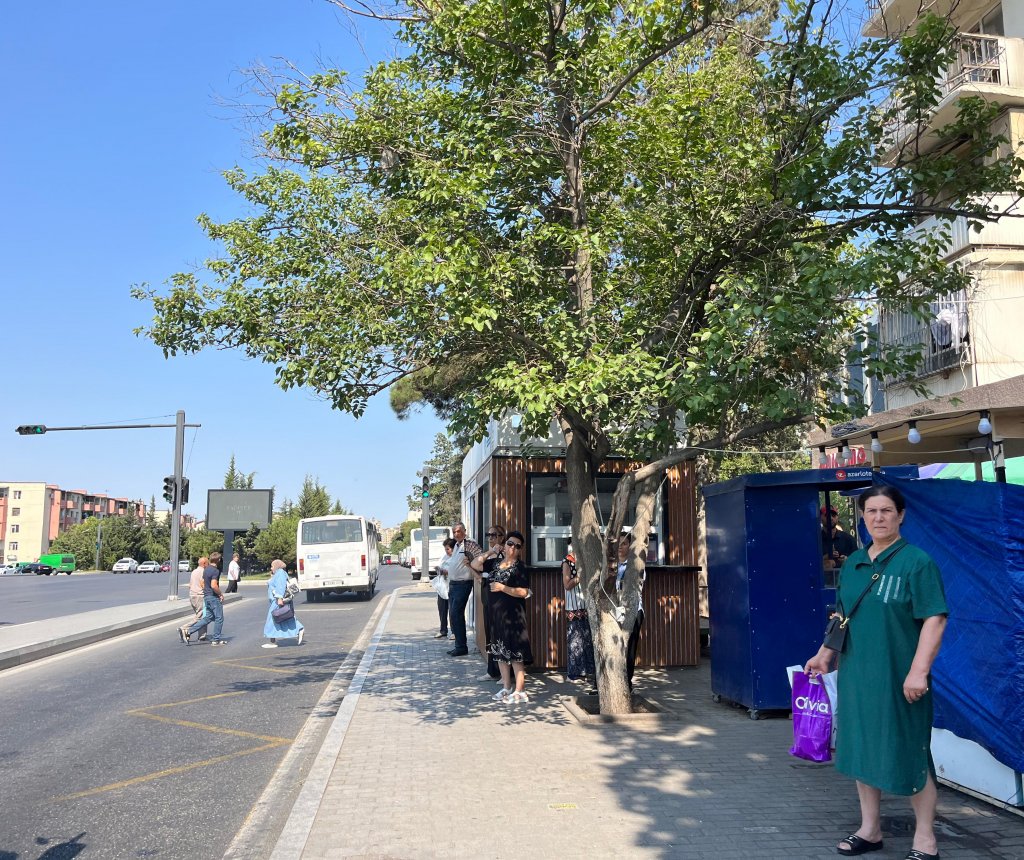 “AYNA” ya dövlətdən ayrılan vəsait necə sərf olunub? Kondisionerli dayanacaqlar isə…..