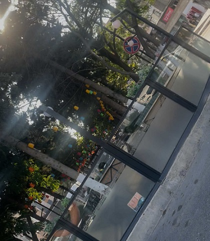 Xətai rayonunda Sarayeva küçəsində park necə kafeye çevrildi?-İcra başçısı Rafiq Quliyev icazə verib?