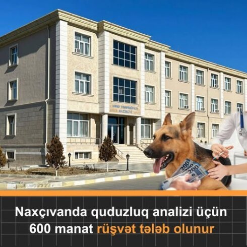 Naxçıvanda quduzluq analizi üçün 600 manat rüşvət istəyirlər