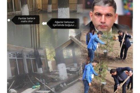 Qazaxda parklar “işğal” altında – yaşıllıqlar obyektlərin qurbanına çevrilib / FOTOLAR