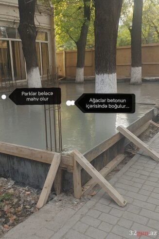 Qazaxda parklar “işğal” altında – yaşıllıqlar obyektlərin qurbanına çevrilib / FOTOLAR