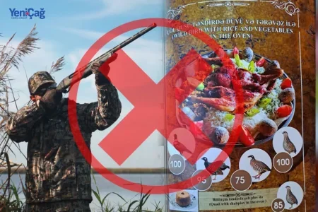 Ekologiya Nazirliyində "RÜŞVƏT OVU" - "Müfəttiş gedib oradan rüşvət alıb keçəcək” (VİDEO)