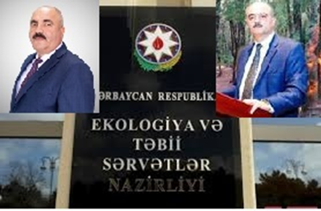 Ekologiya nazirliyində “cərimə” fırıldağı: Qarabağ meşələrinin taleyi ilə “üç badam bir qoz” oynayan kimlərdir?